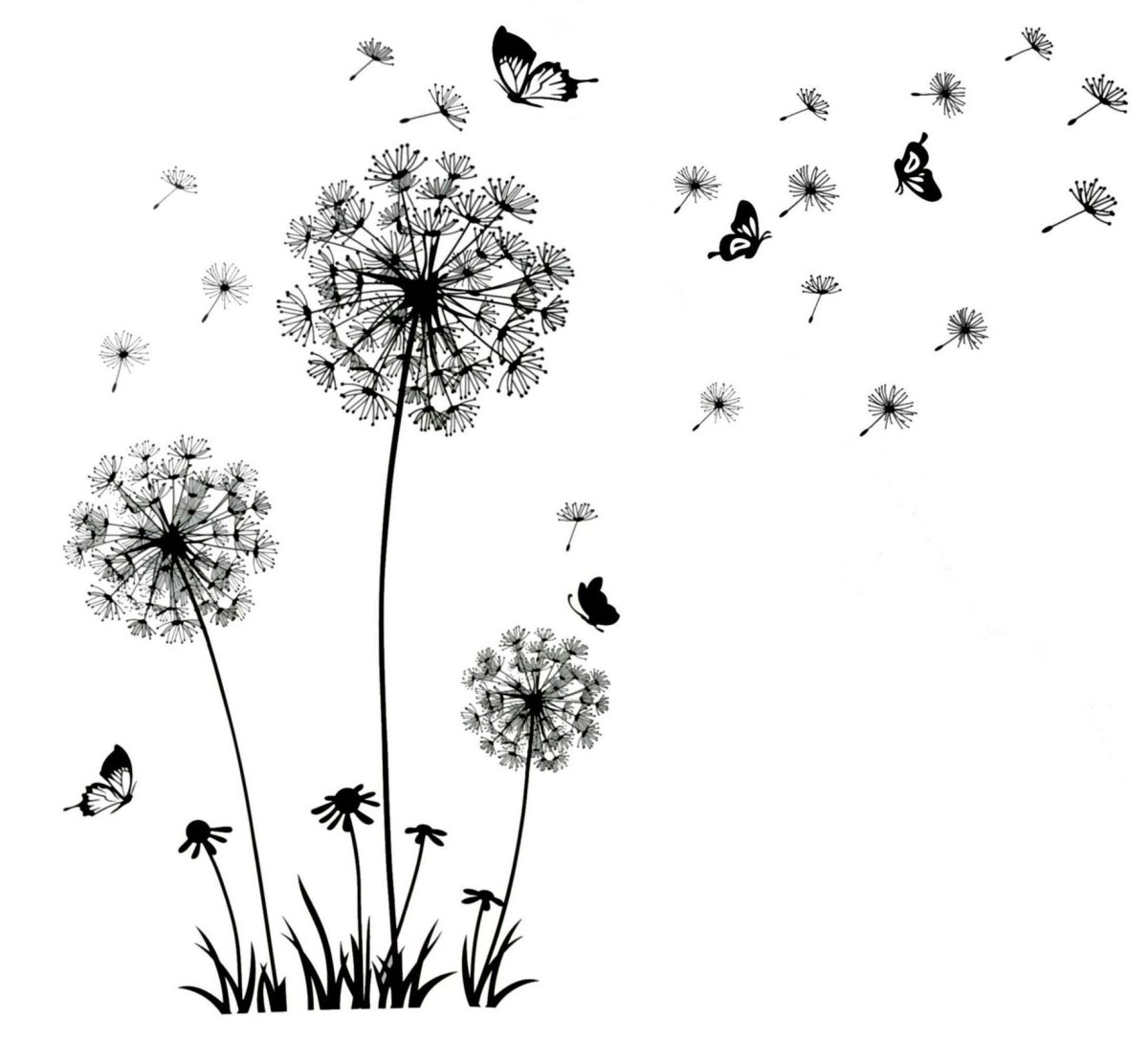 Семечко одуванчика на белом фоне