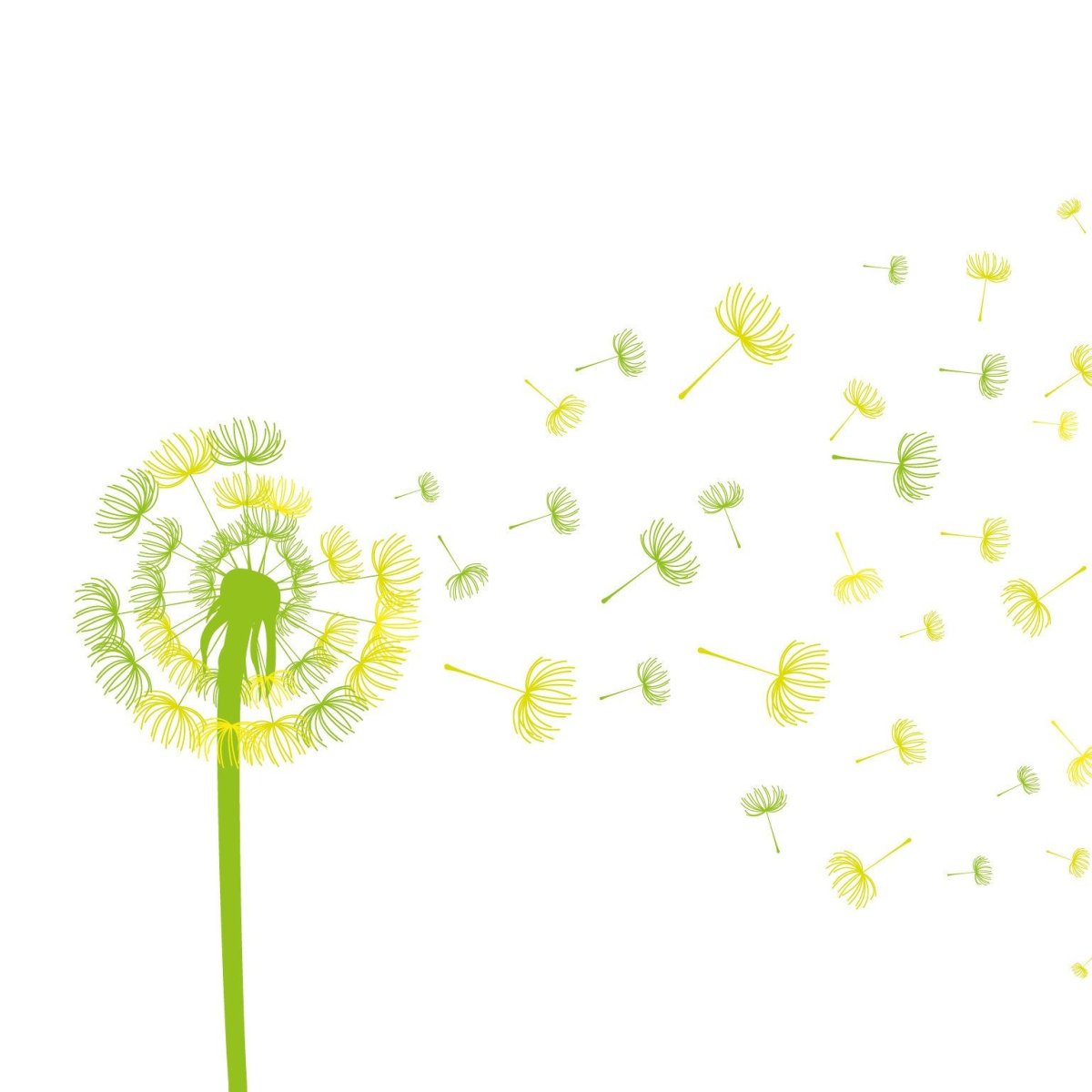 Желтые цветы одуванчики