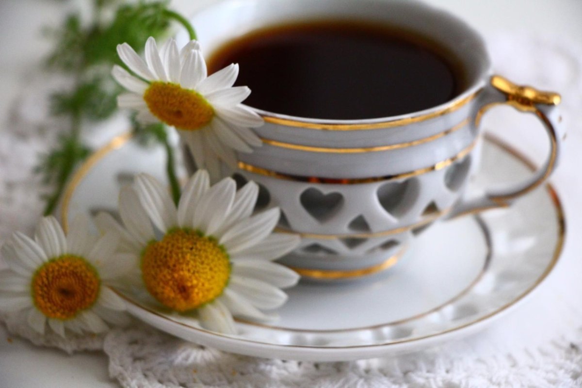 Ромашки и кофе