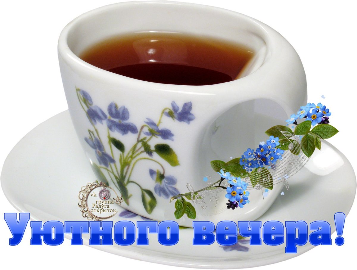 Незабудки добрый вечер