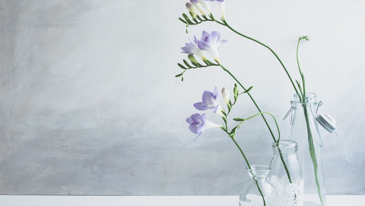 Пастель Минимализм