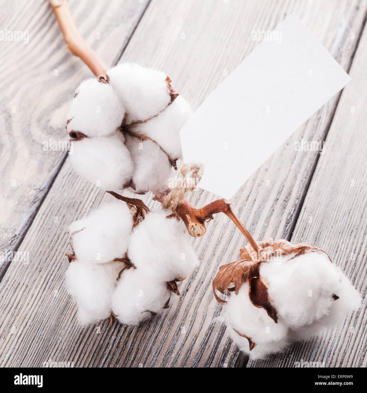 Раскладки с хлопком