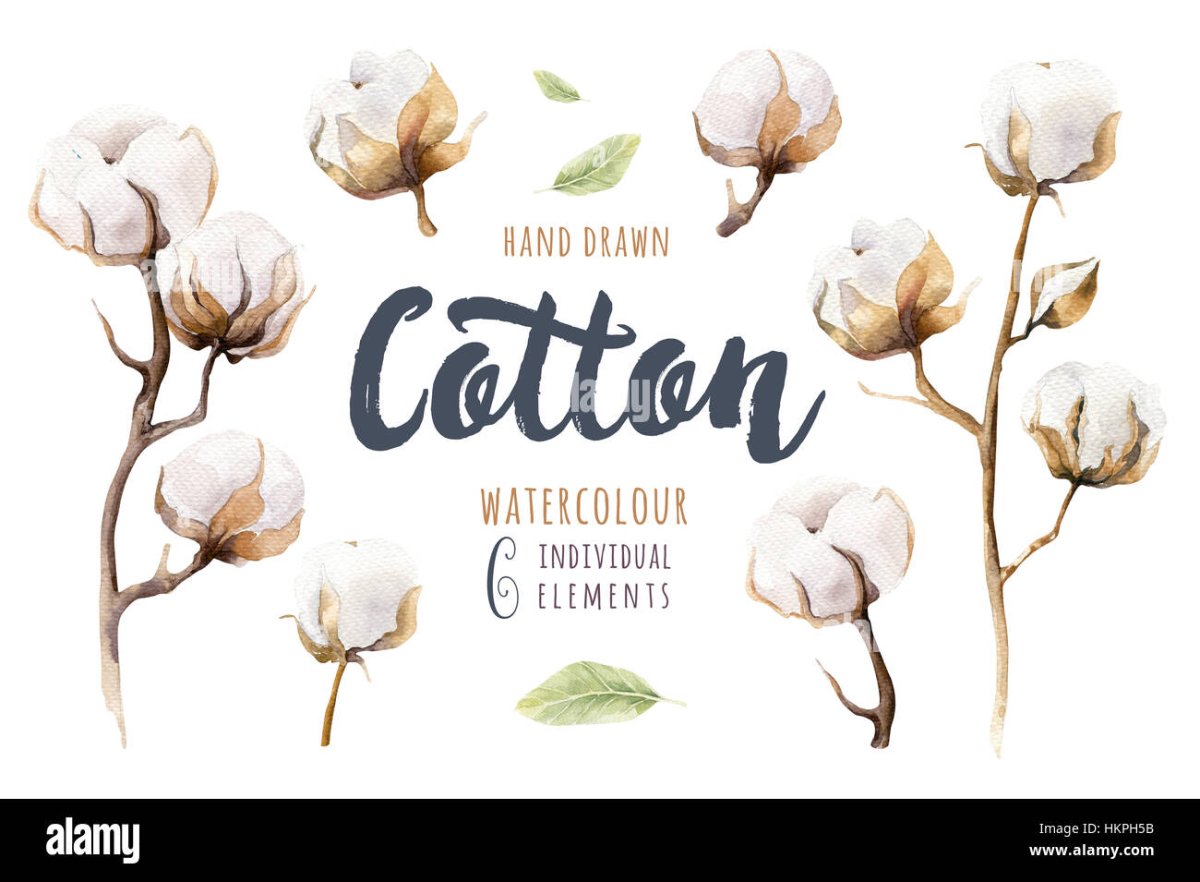 Хлопок акварелью на белом фоне