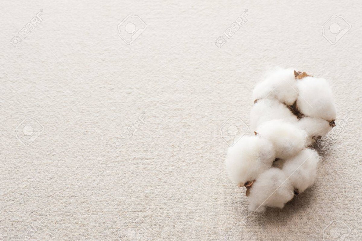 Хлопчатобумажный с хлопком