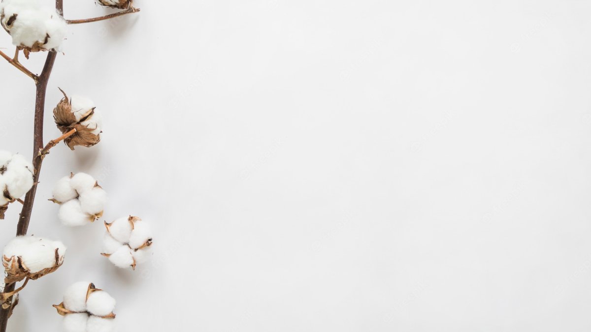 Хлопок фон