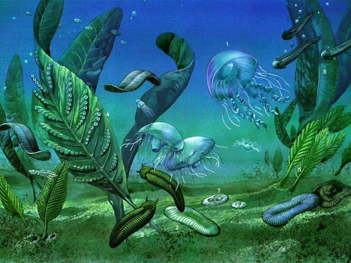 Протерозойская Эра