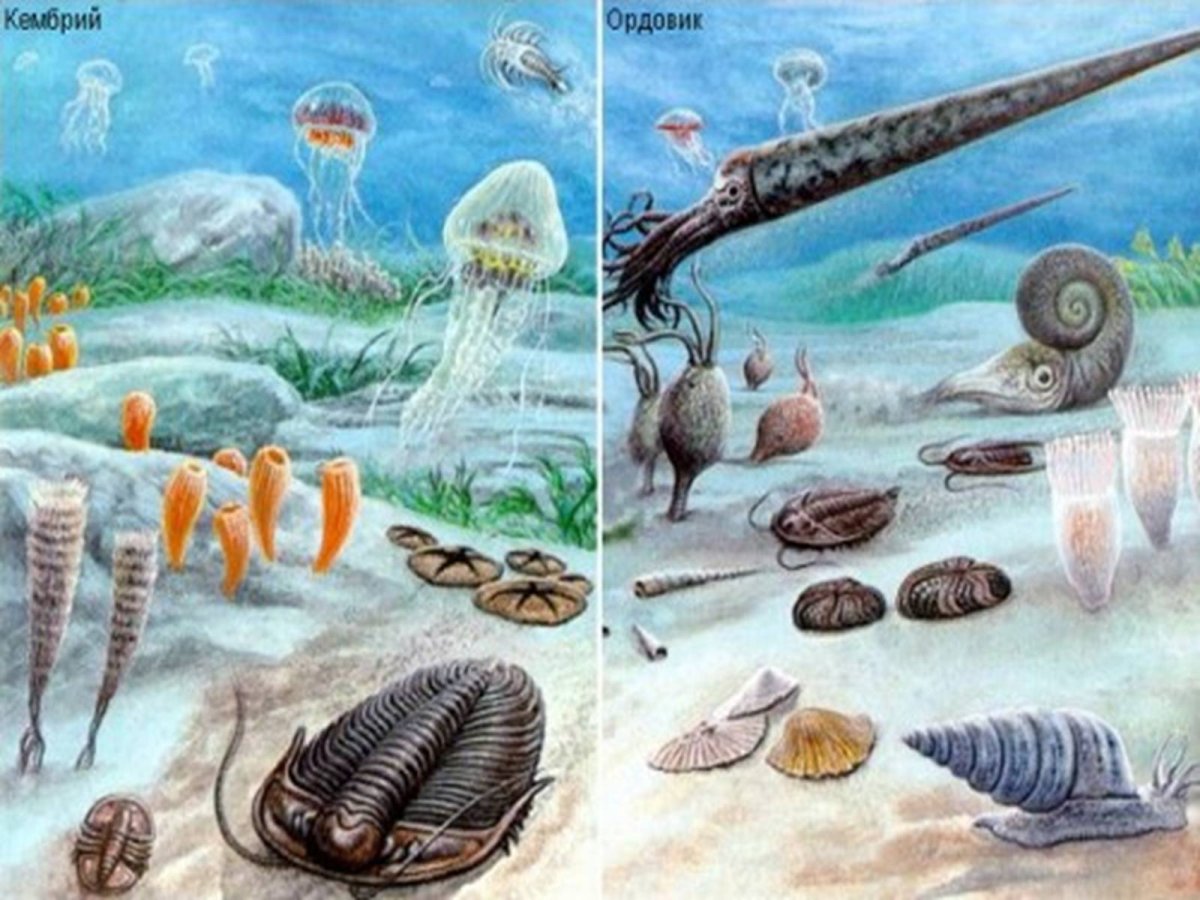 Архейская Эра океан