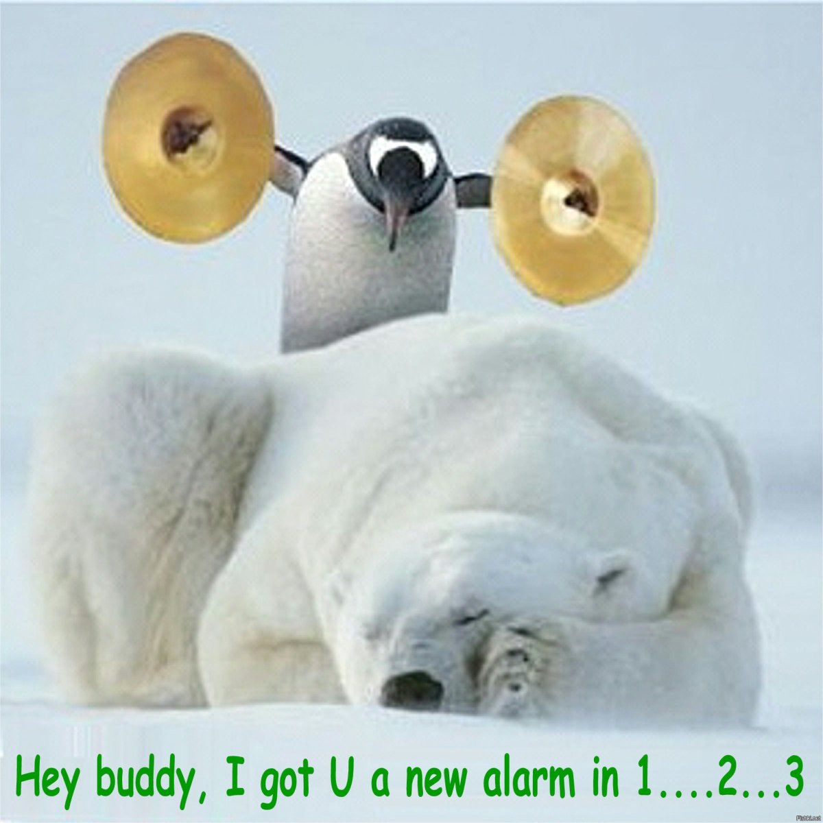 Демотиваторы с добрым утром