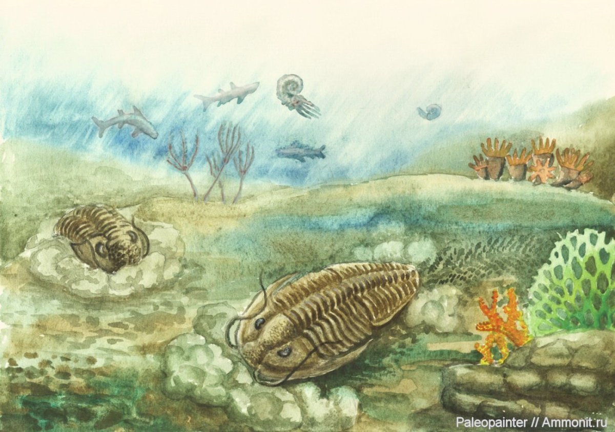 Архейская Эра Неоархей