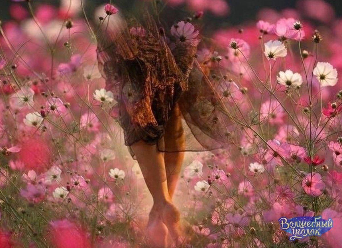 Душа в цветах
