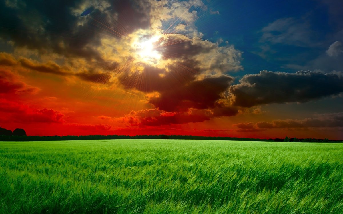 Приятный пейзаж