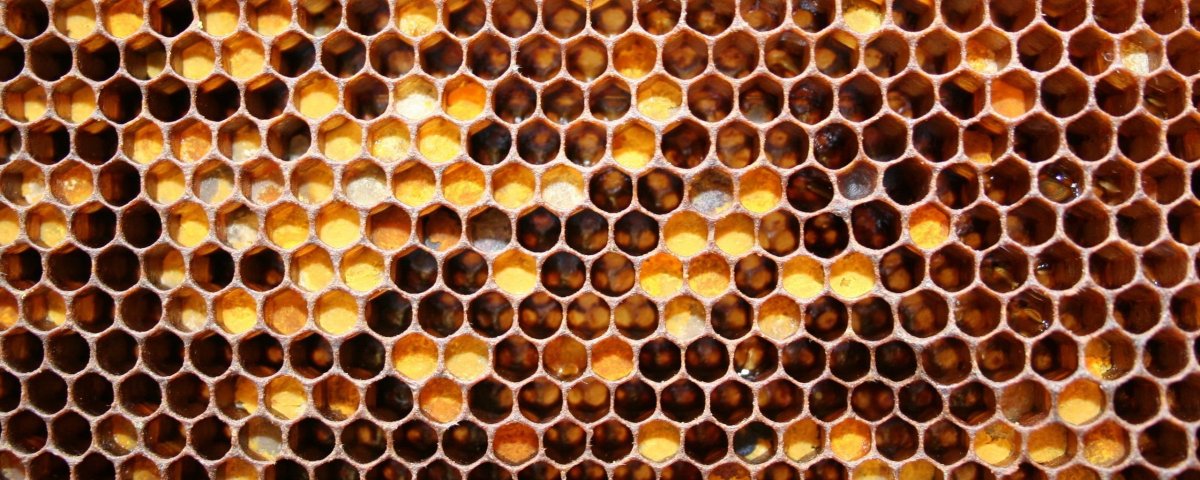 Мед соты фон