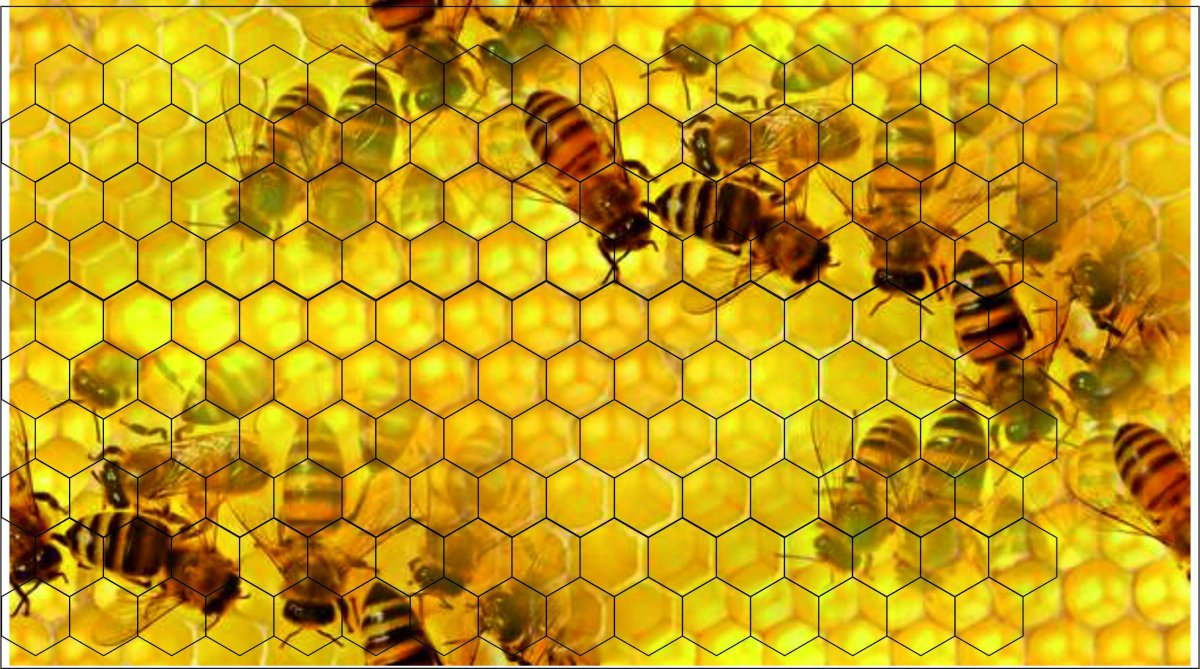 Фон пчелы