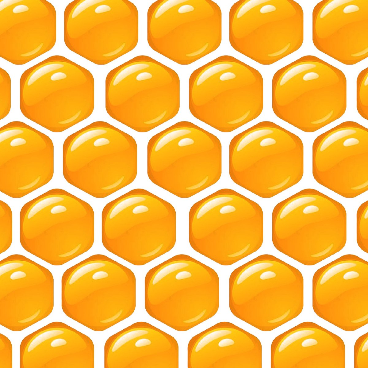 Пчелиные соты вблизи