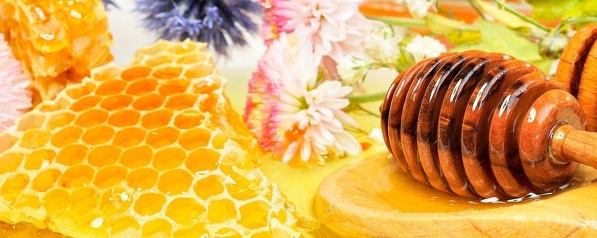 Баннер с сотами меда