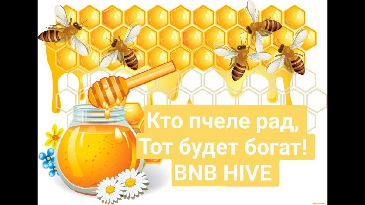 Медовые соты