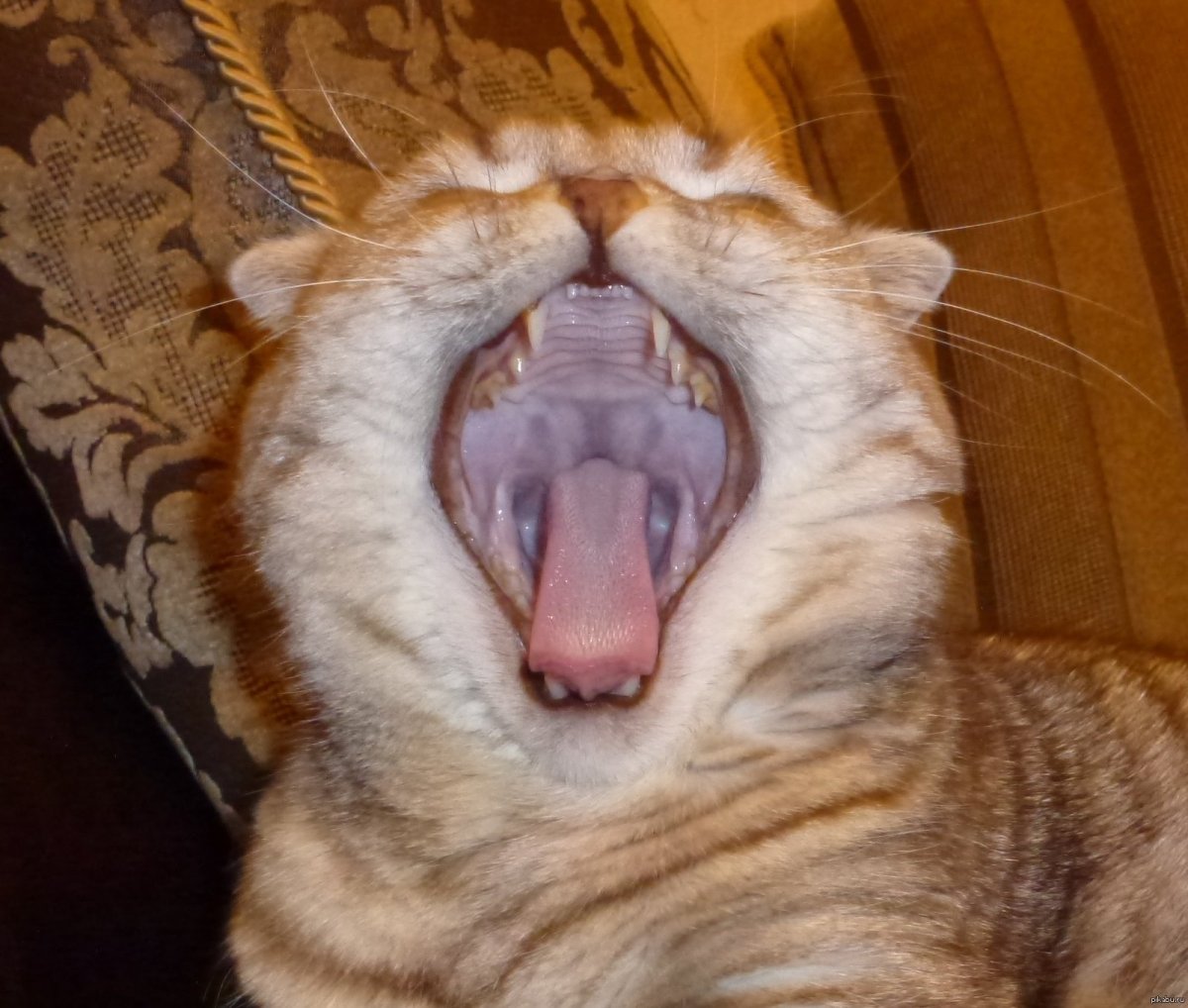 Смайл с текущей слюной