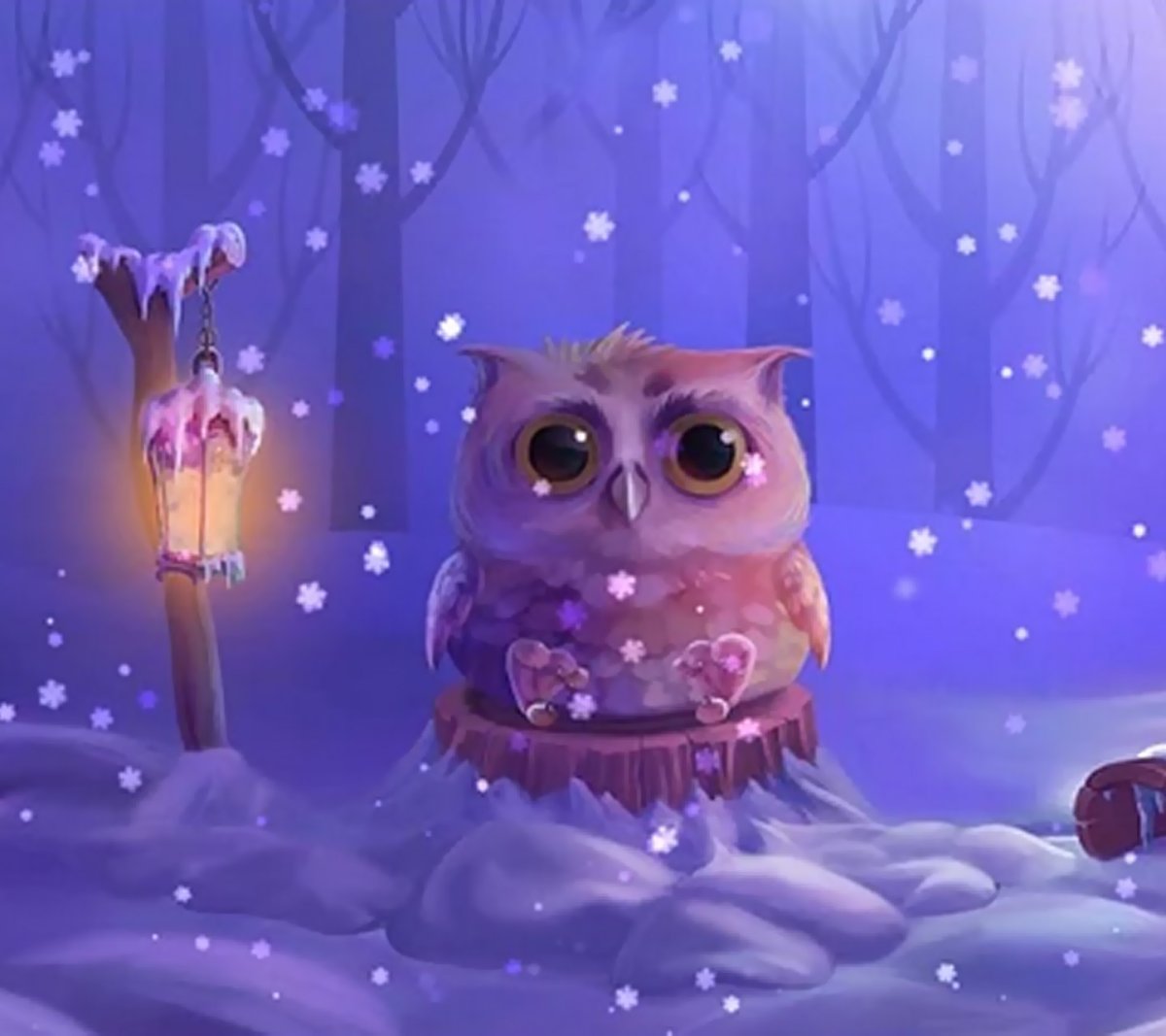 Совенок на белом фоне