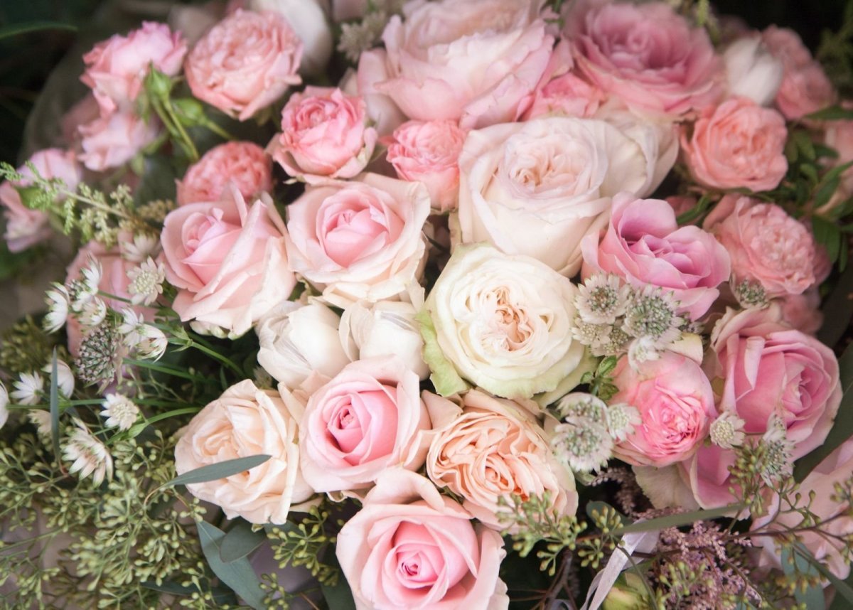 Цветы пионовидные розы