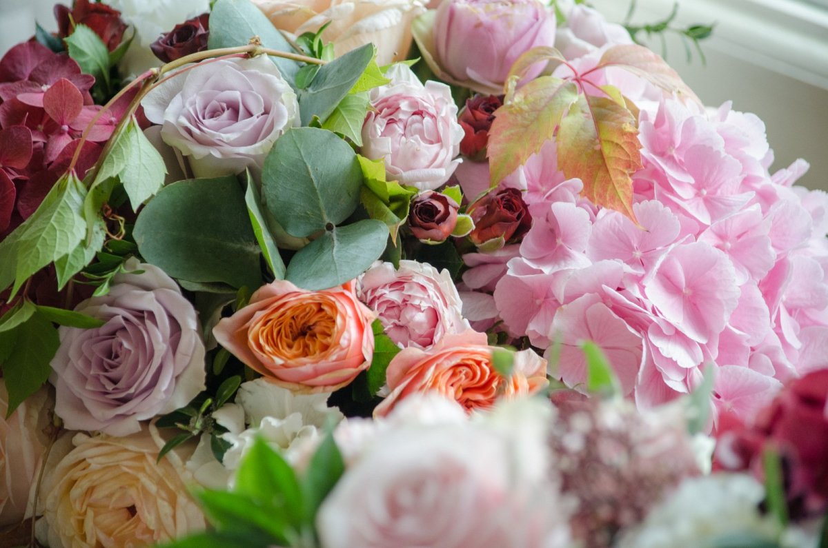 Пионовидные розы Барон