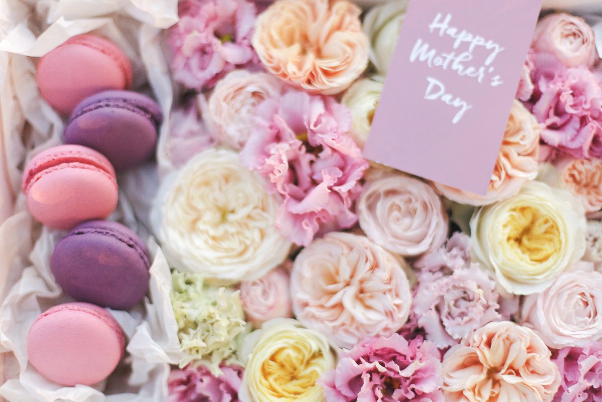 Пионовидных роз сорта трендсеттер.