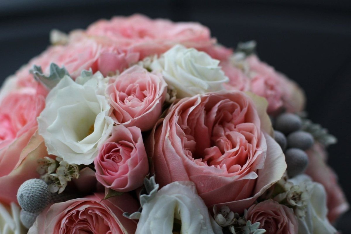 Пионовидные розы серые