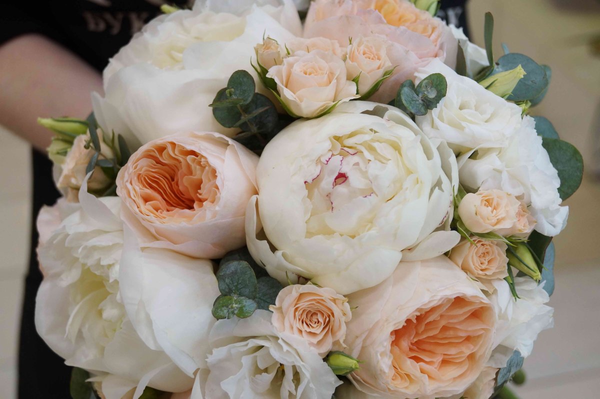 Пионовидная роза ред пиано