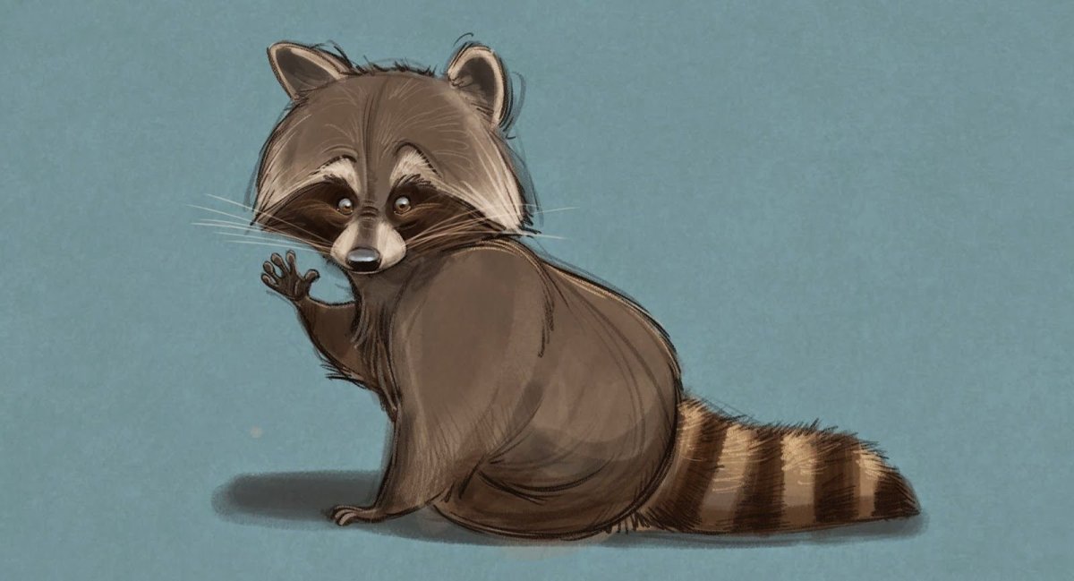 Енот полоскун аниме