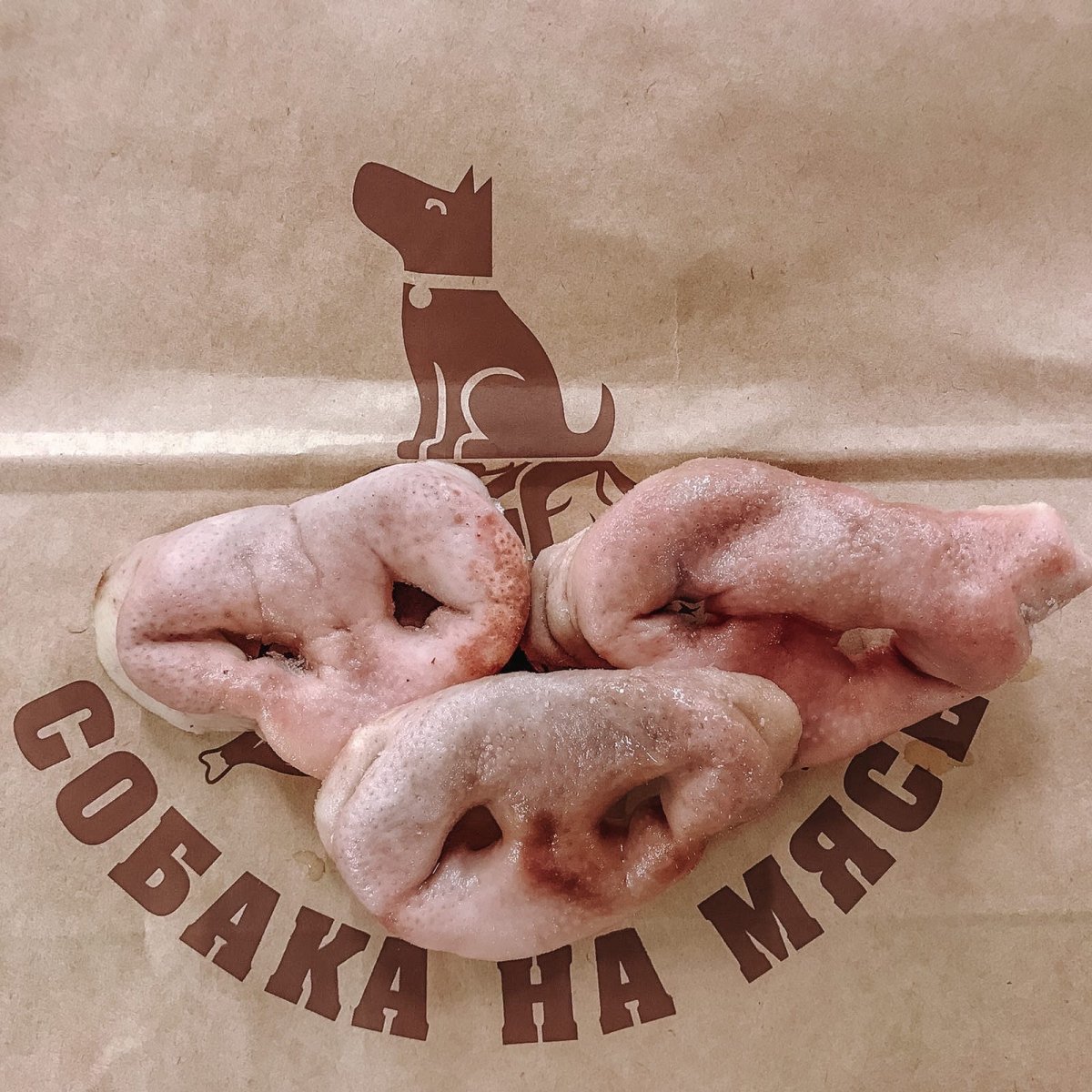 Свинка пукает