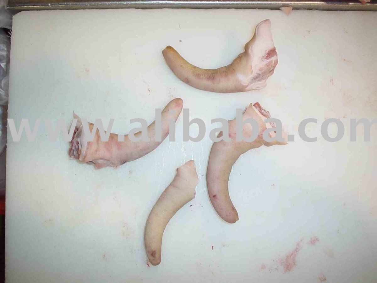 Ушки и носик поросенка