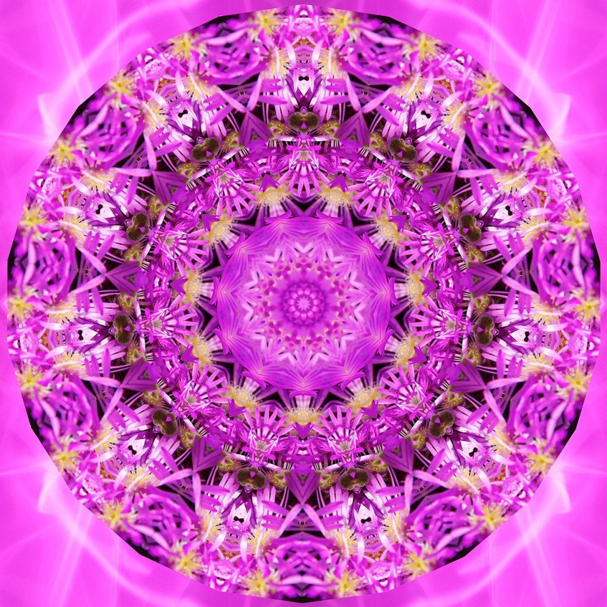 Мандала изобилия