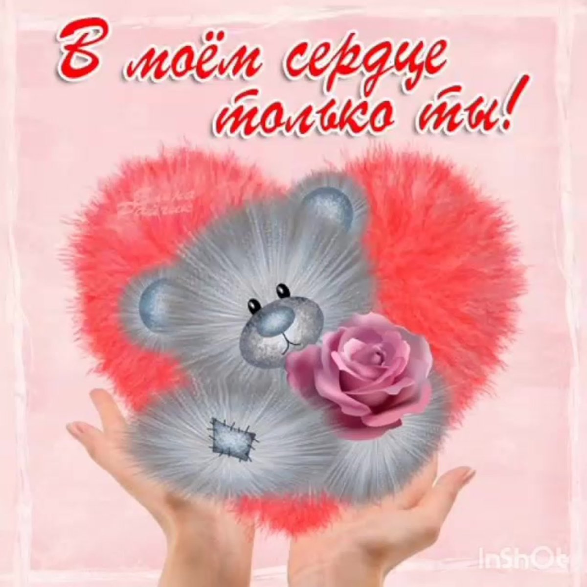 Заботливые мишки обои