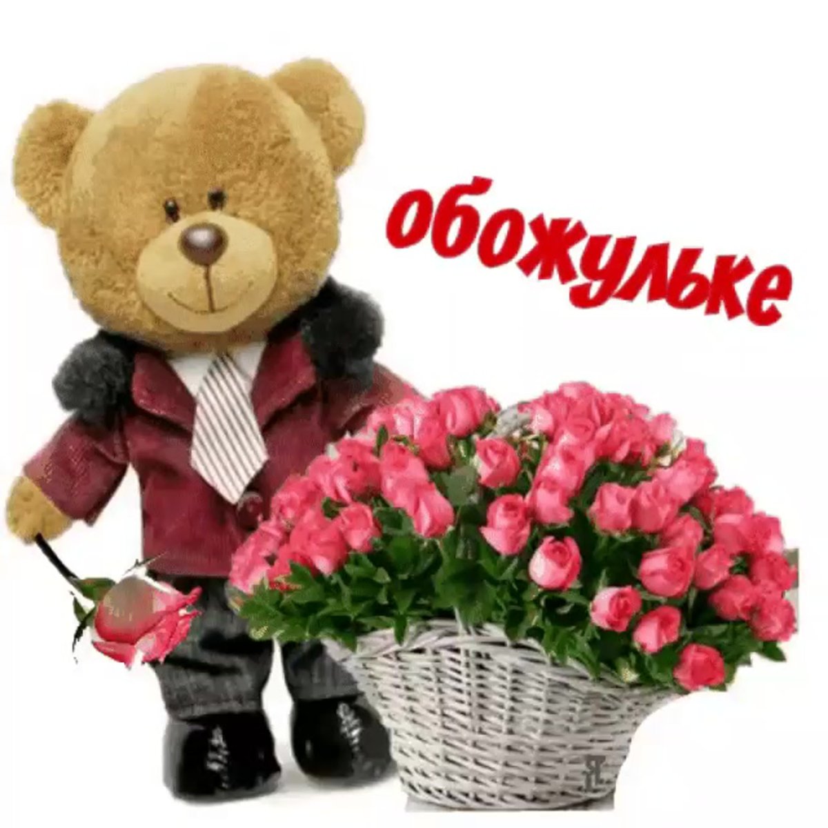 У меня же лапки