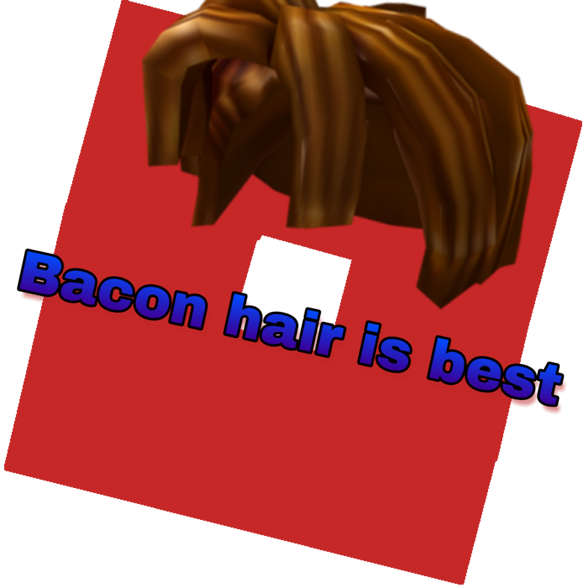 Roblox NOOB and Bacon hair
