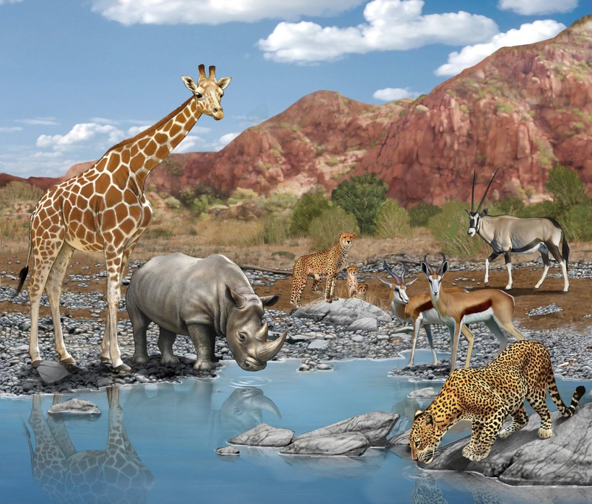 Животные Африки для детей