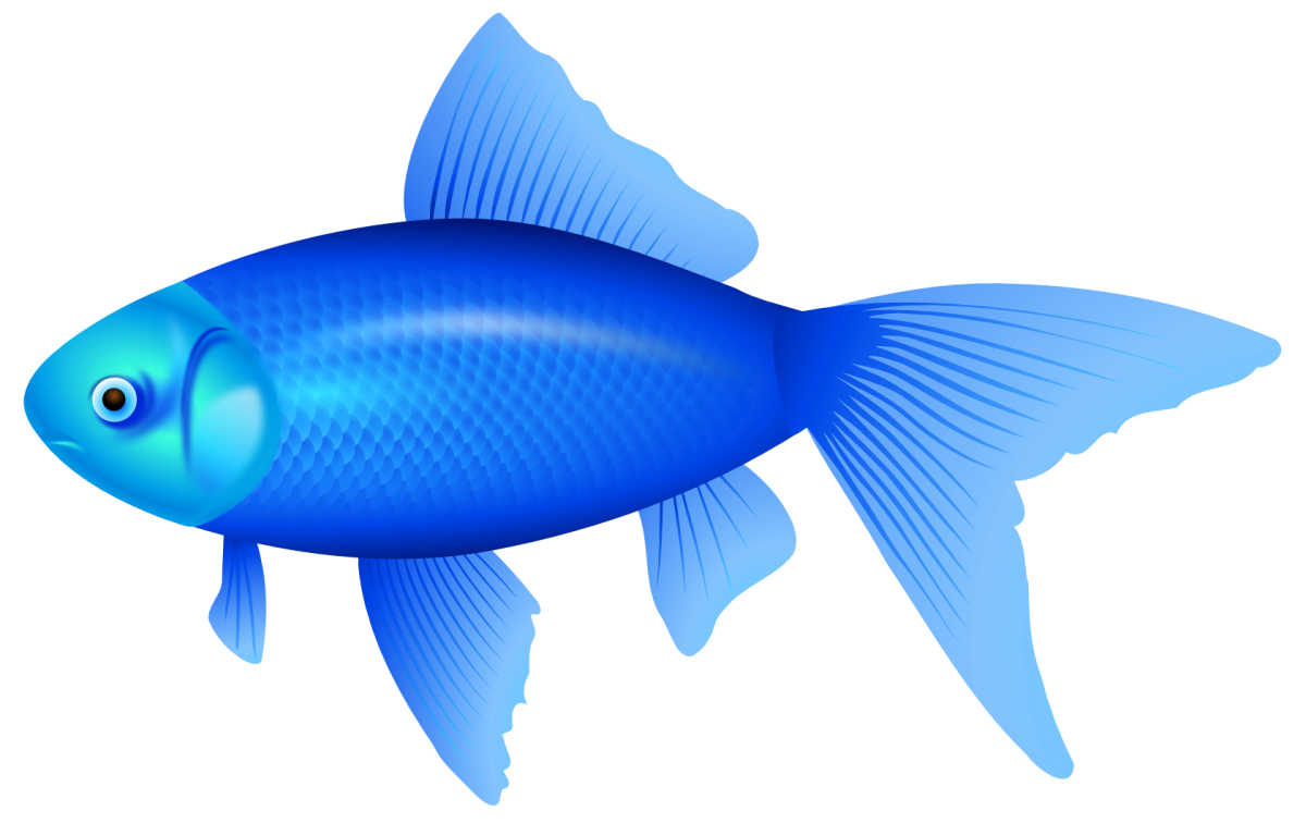 Рыбка на прозрачном фоне