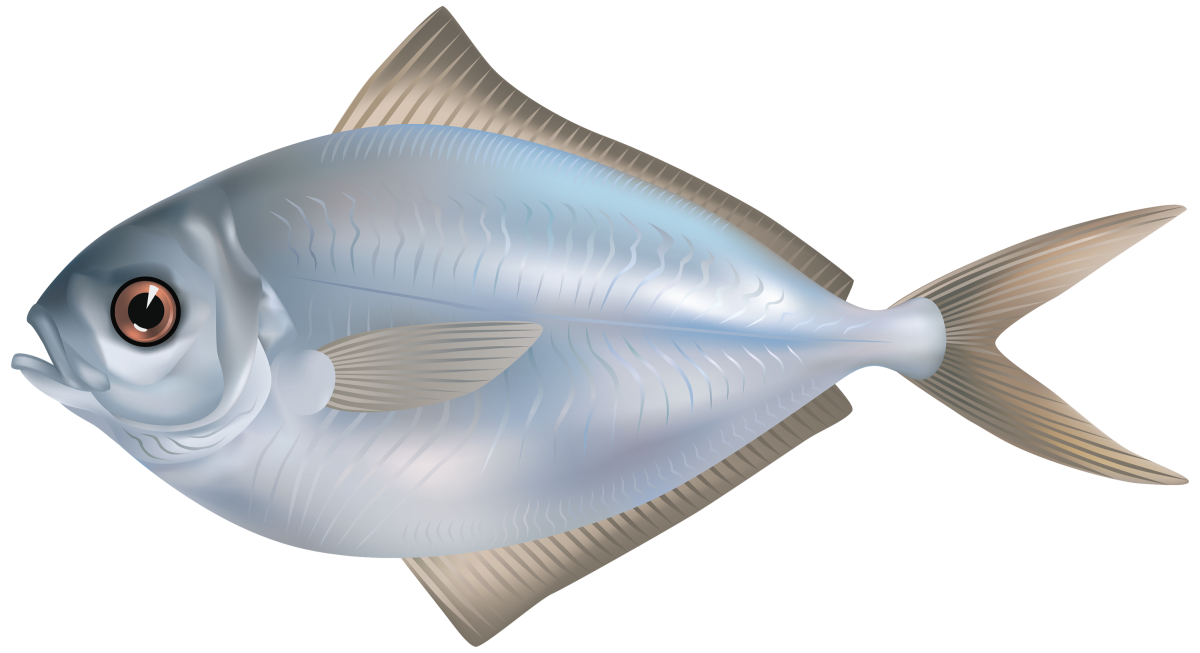 Рыба на прозрачном фоне