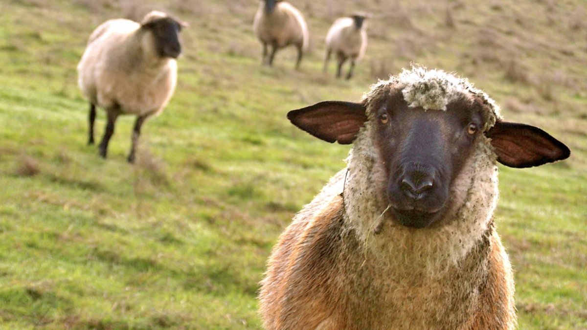 Торт для любимого человека на день рождения