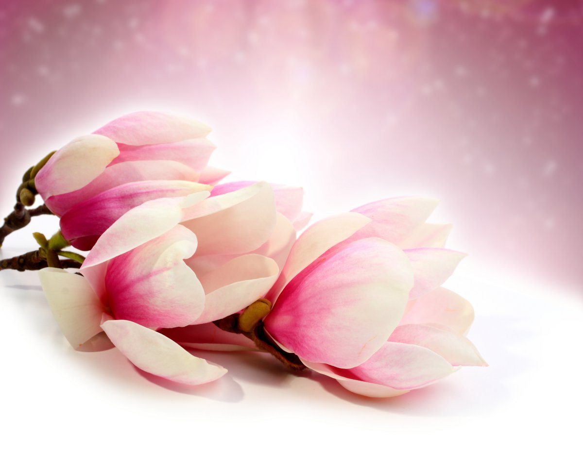 С днем рождениялевочке