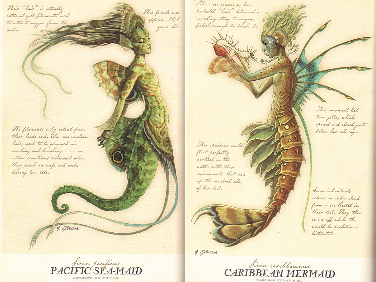 Изучение мифических существ