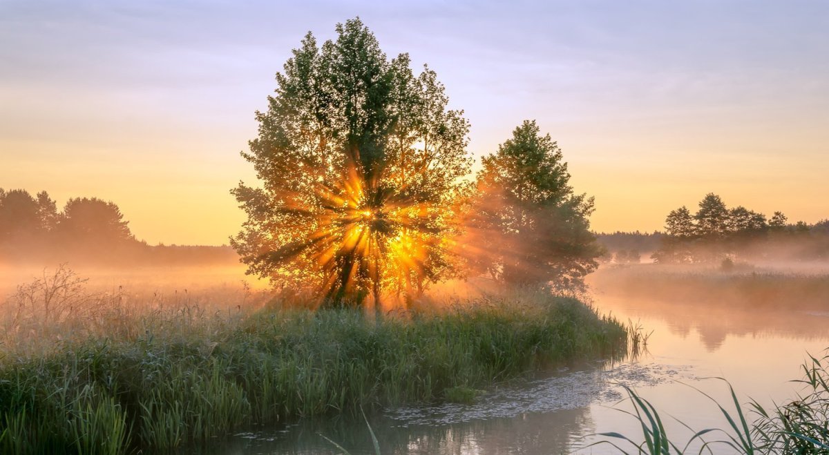 Доброе утро природа