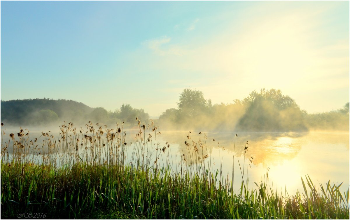 Раннее Майское утро