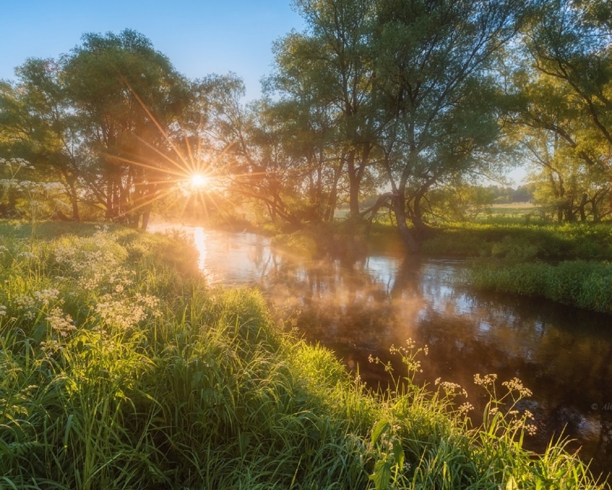 Природа солнце