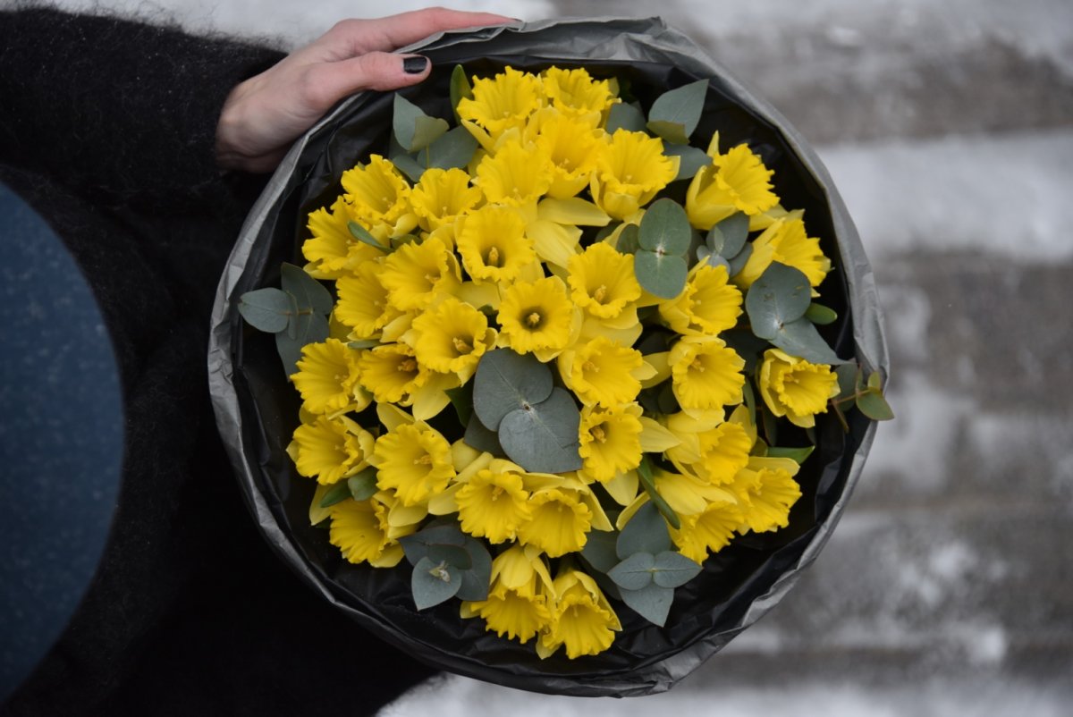 Букет из 35 нарциссов