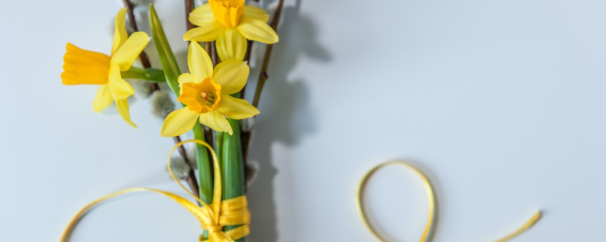 Нарцисс букетный