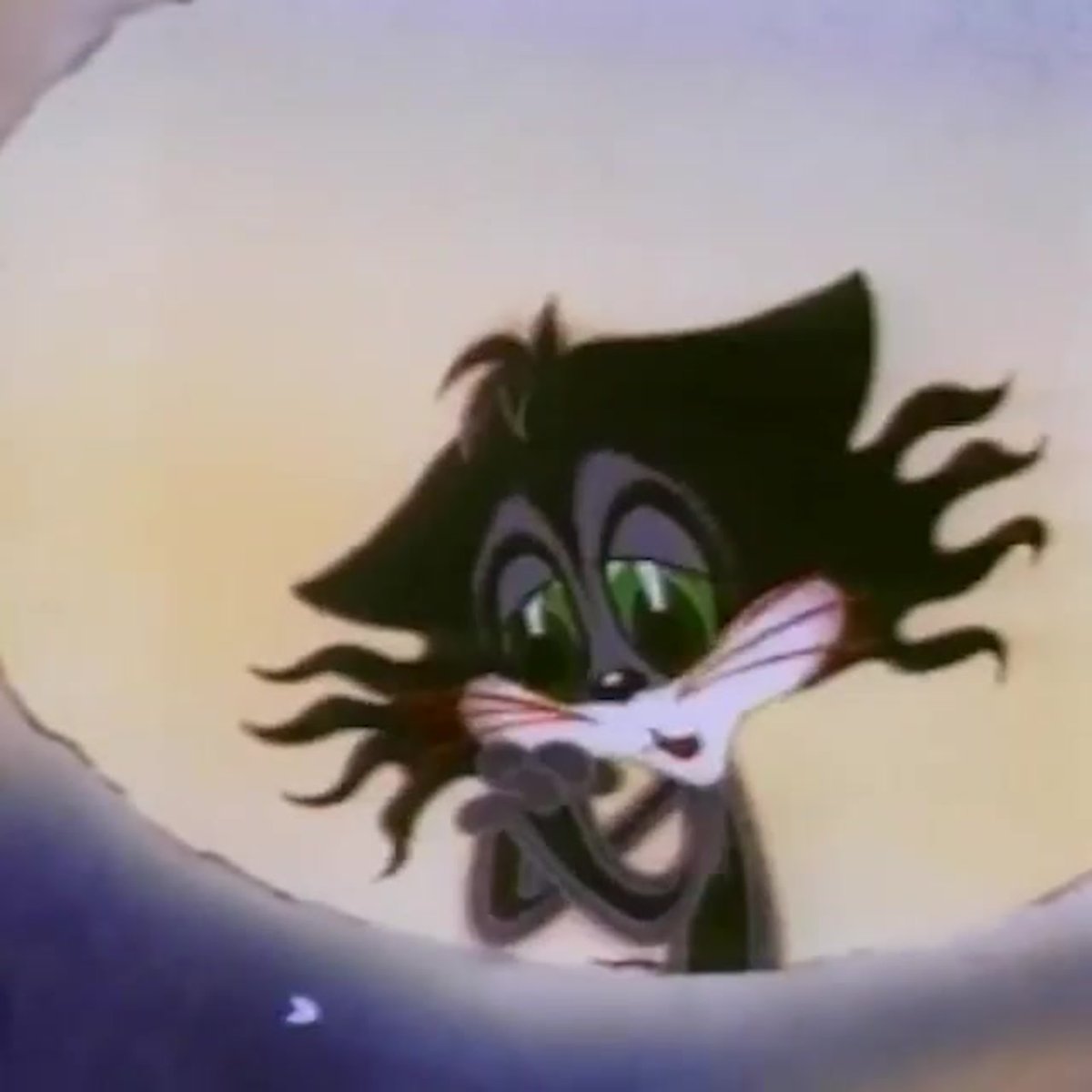 Взъерошенный котенок