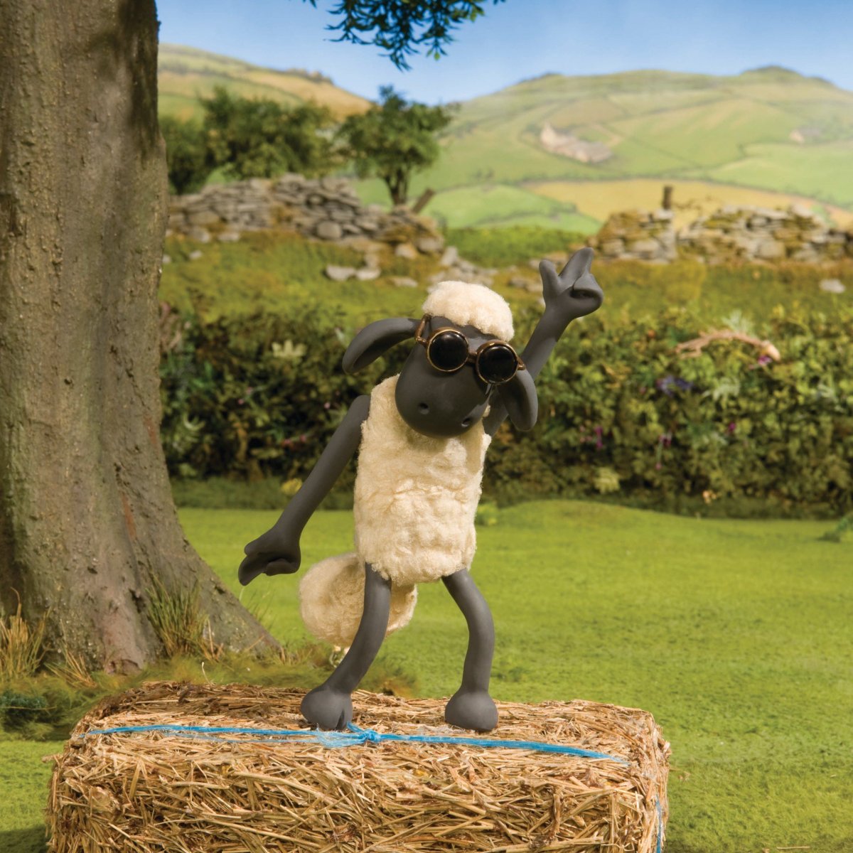 Барашек Шон 2009