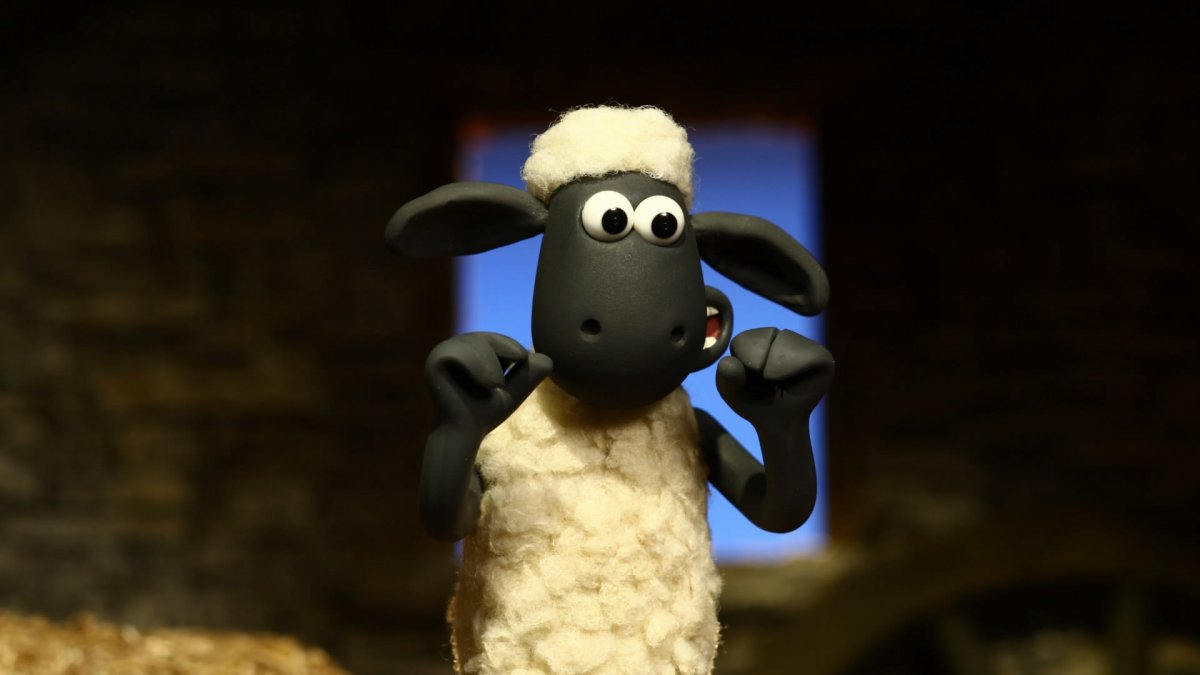 Барашкин Шон