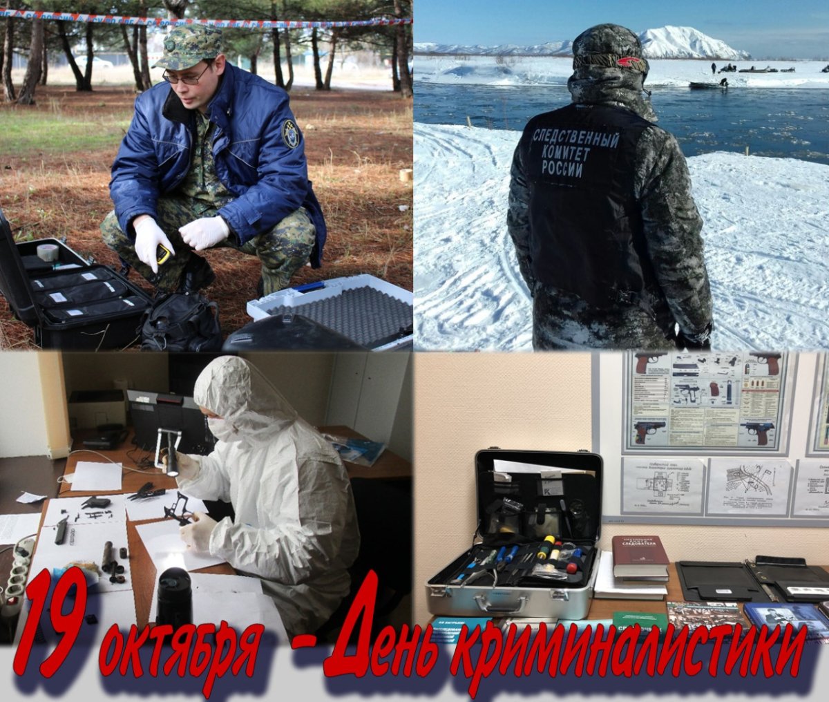 Следственный комитет криминалисты