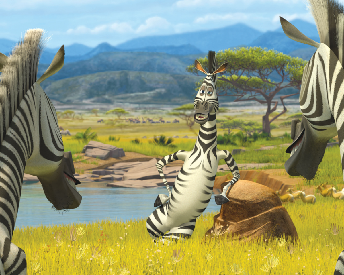 Зебра Марти из Мадагаскара